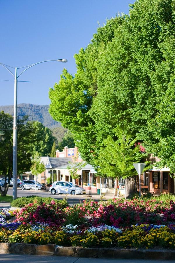 Ovens Valley Motor Inn Bright Dış mekan fotoğraf